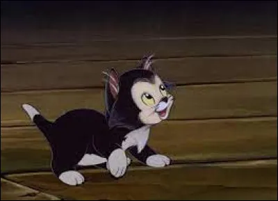 What is the name of the black and white cat seen in the movie "Pinocchio"?