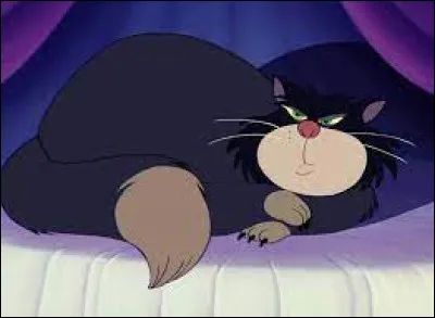What is the name of the ugly cat in the movie "Cinderella"?