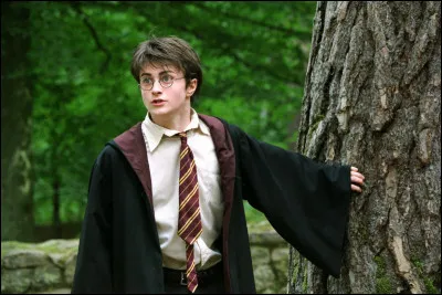 In which movie/series is Harry?