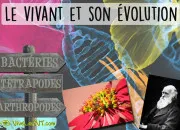Quiz 3e - Brevet SVT - Le vivant et son évolution part.2