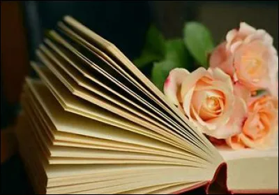 Who wrote The Last of the Stanfields?