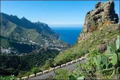 What is the largest island in the Canary Islands ?