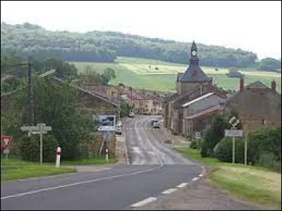 We are in the Grand-Est, in Moulins-Saint-Hubert. A village near the Ardennes, it is located in the department ...