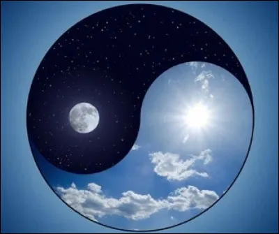 What does the yin and yang symbol explain?