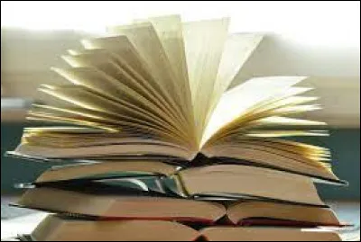 Was the novel "Le Hussard sur le toit" written by Jean Giono?