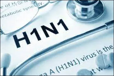 In which country did the 2009 H1N1 flu pandemic begin?