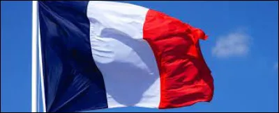 In what year was the blue, white and red flag adopted as the flag of France for the first time?