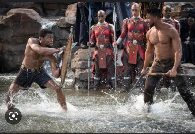 Who played Black Panther in the MCU?