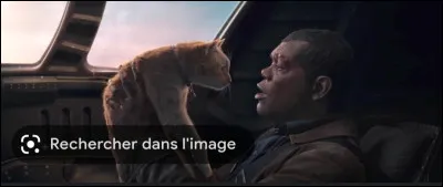 Who plays Nick Fury in the MCU?