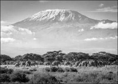 What is the highest peak on the African continent?