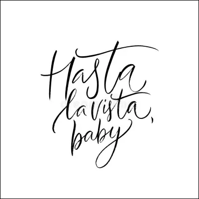 From which film does the line Hasta la vista, baby come?