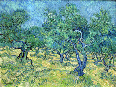 Who painted The Field of Olive Trees?