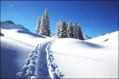 What is the coldest country in the world?