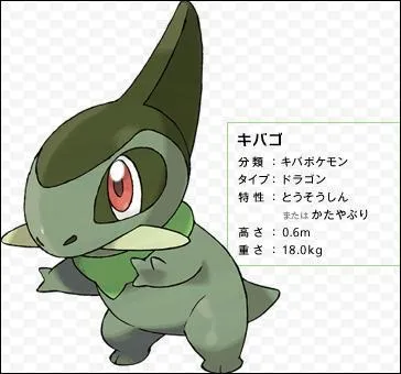 What type of pokemon is this?