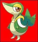 What type of pokemon is this?