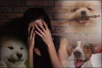 Is dog phobia called cynophobia?