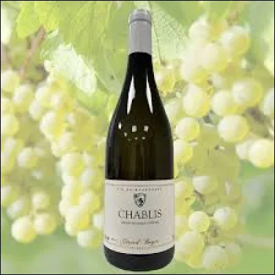 Is Chablis a white Burgundy wine?