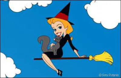 In the TV series "My beloved witch", how is Samantha's husband named ?