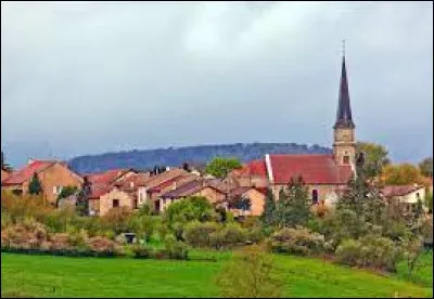 We're off to the Grand-Est, to Lanfroicourt. A village in the Nance catchment area, on the right bank of the Seille, it is located ...