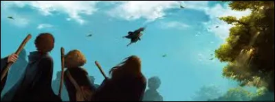 How old was he the first time he rode a broom?