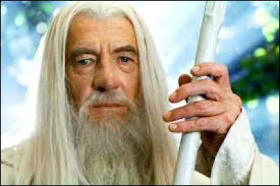 Gandalf : In which movie saga can we see this character?