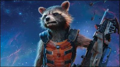 He's a genetically modified raccoon and weapons expert. Who is he?
