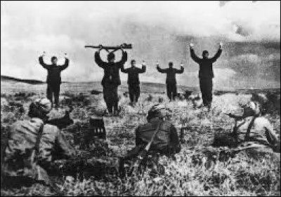 What was the human toll of Jews in the genocide of 1941?