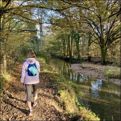 It takes Lea 4 hours to go up a hill, but she goes down 2 times as fast. How long does it take Lea to go down the hill?