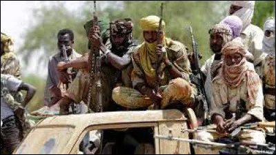 Start of the war in Darfur, which caused 300,000 civilian deaths and 2.7 million displaced persons: