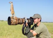 Quiz Les animaux savent très bien se camoufler