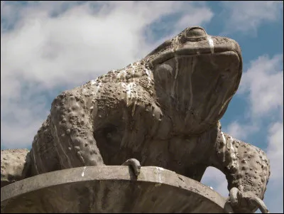 In this universe, you can summon toads: