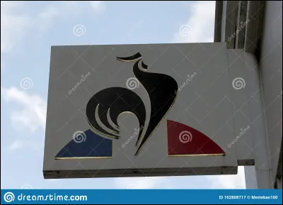 Which brand's logo is this?