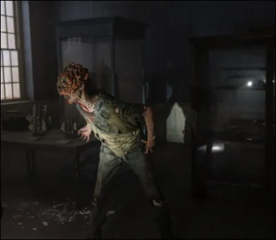 What is this series?