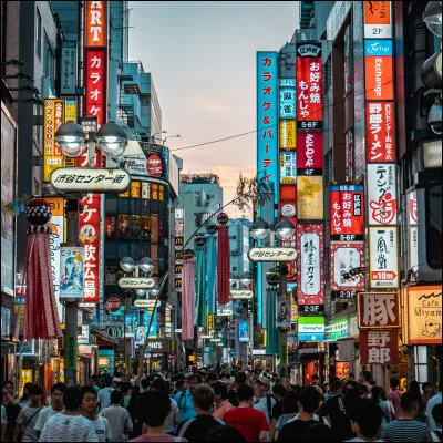 What is the capital of Japan?