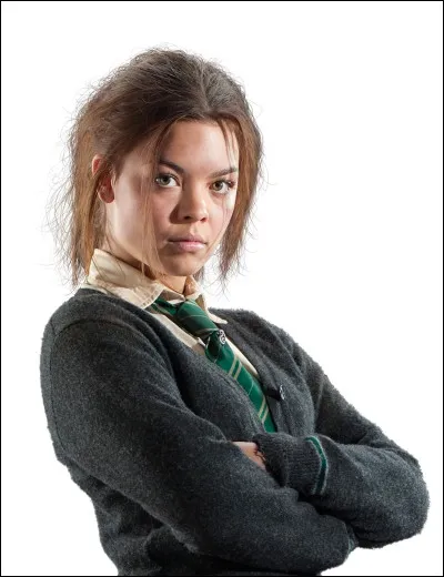 What are the names of the students who are named prefects of Slytherin House, Volume 5?