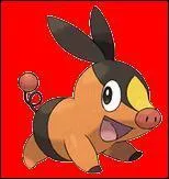 What type of pokemon is this?