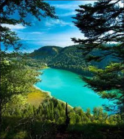 If you're on vacation in Dole, where do you live?