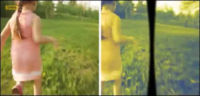 This vision is totally impractical. Who does it belong to?