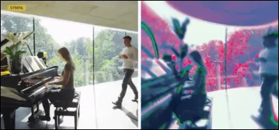 Some colors are not distinguished by this animal. They are...