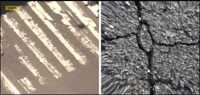 This one is even more precise. To which bird does this vision belong?