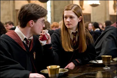 He married Ginny Weasley, with whom he had three children: James, Albus and Lily Potter.