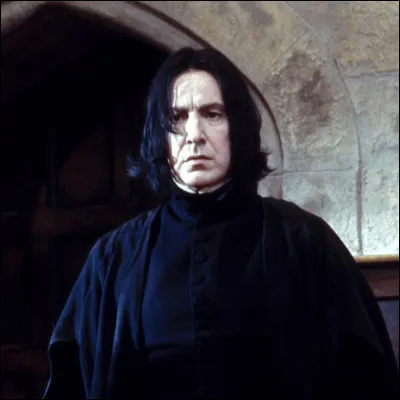 He adores Severus Snape, who is his father's best friend.