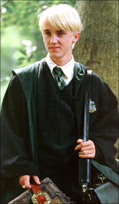5th place: To which blood status does Draco Malfoy belong?