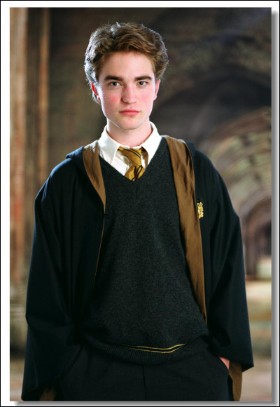2nd place: What is Cedric Diggory's Quidditch position?