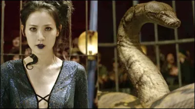 N°6: Nagini
In which film do we discover her story?