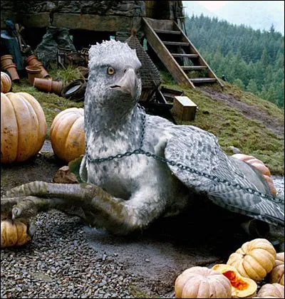 N°3 : Buck
After what he did to Draco Malfoy, Hagrid is forced to change his name for his own safety. What is this new name?