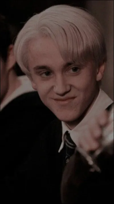 N°2: Draco Malfoy
What's inside his wand?