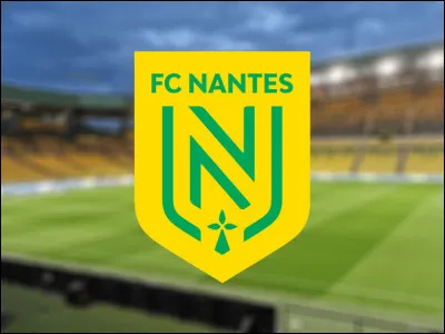 Who does this logo belong to?
