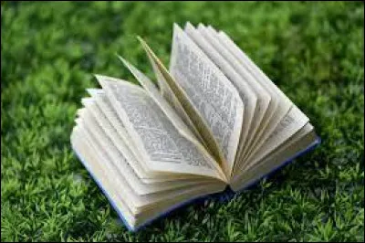 To whom do we owe the novel "Et si c'etait vrai..." published in 2000?