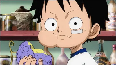 What is the name of Luffy's dragon fruit?